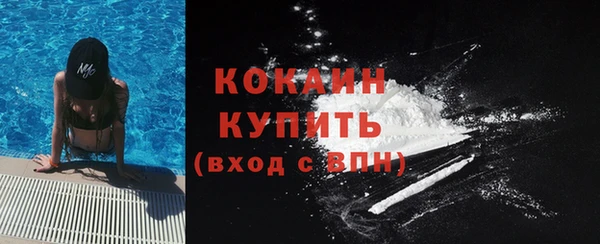 дживик Коряжма