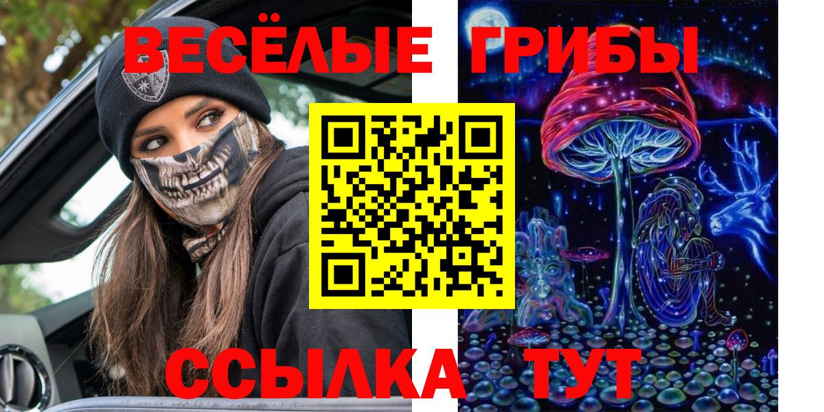 наркошоп  Вход с VPN  Кудымкар  Псилоцибиновые грибы прущие грибы 