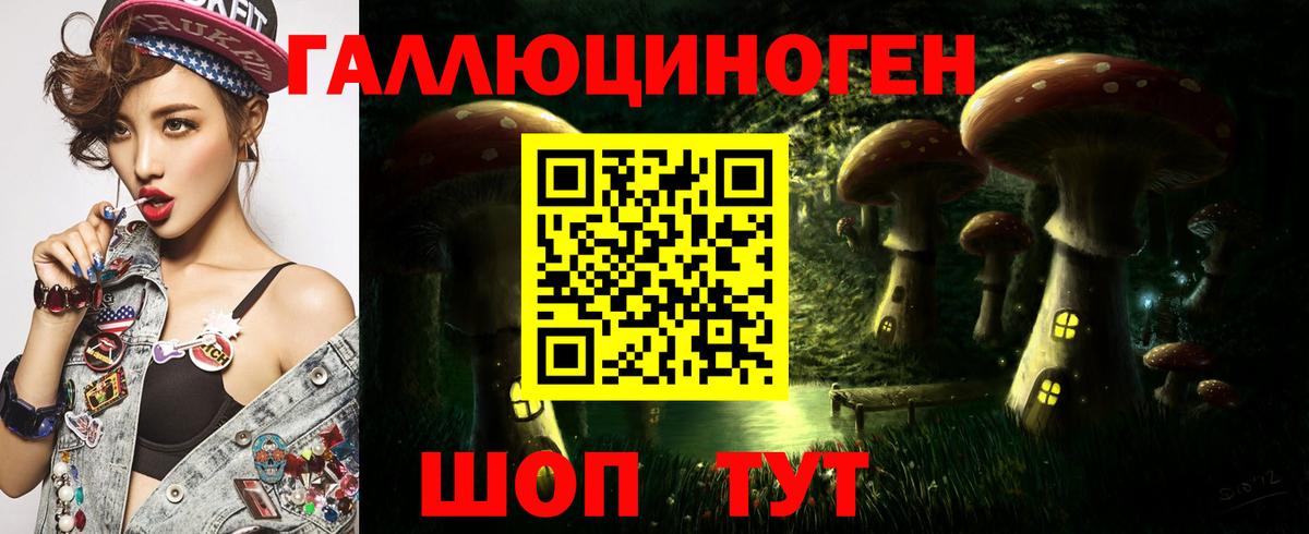 Галлюциногенные грибы Cubensis Кудымкар